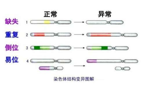 河北不孕不育医院名单汇总，附比较新助孕成功率及注意事项,最专业的代孕机构