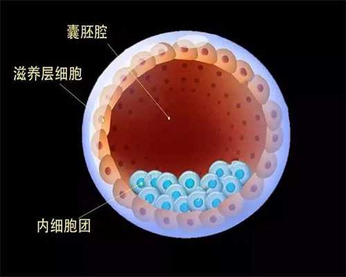 上海中山医院做供卵试管婴儿的时间安排是怎么样的？            ,合法代孕费用